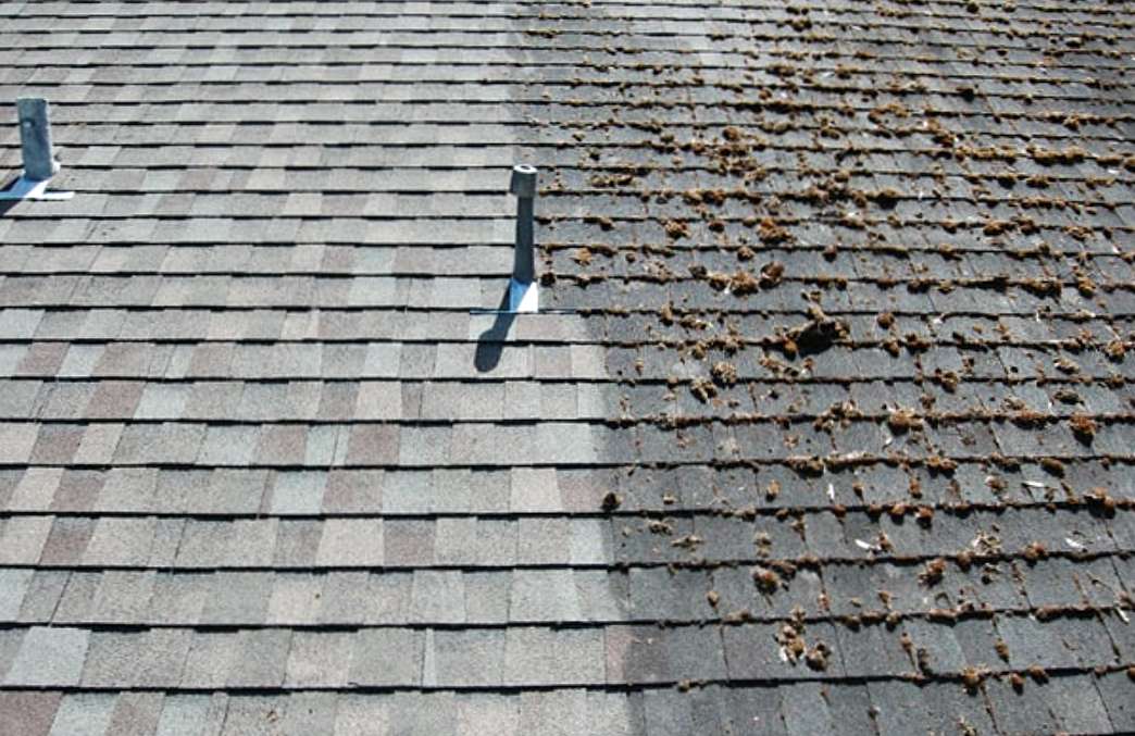 Clean Roof