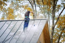 Metal Roofs