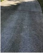 Before Soft Washing