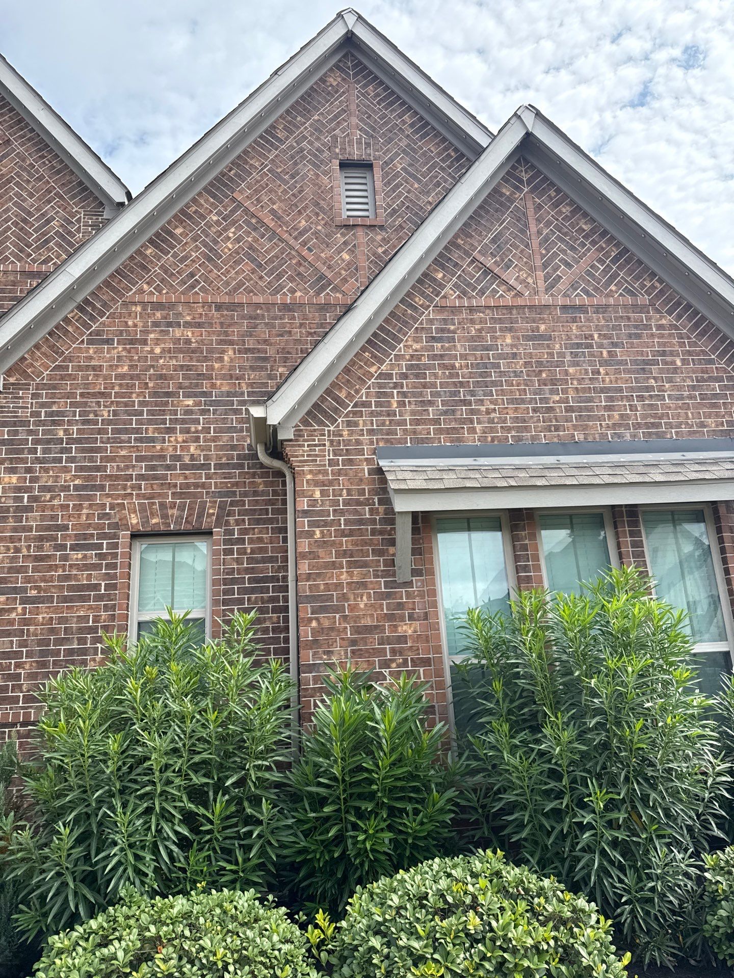 Roof Cleaning